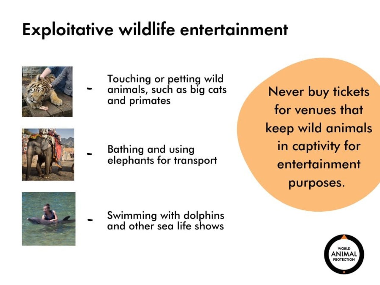 Exploitative wildlife entertainment. Touching or petting wild animals, such as big cats and primates. Bathing and using elephants for transport. Swimming with dolphins and other sea life shows. Never buy tickets for venues that keep wild animals in captivity for entertainment purposes. 