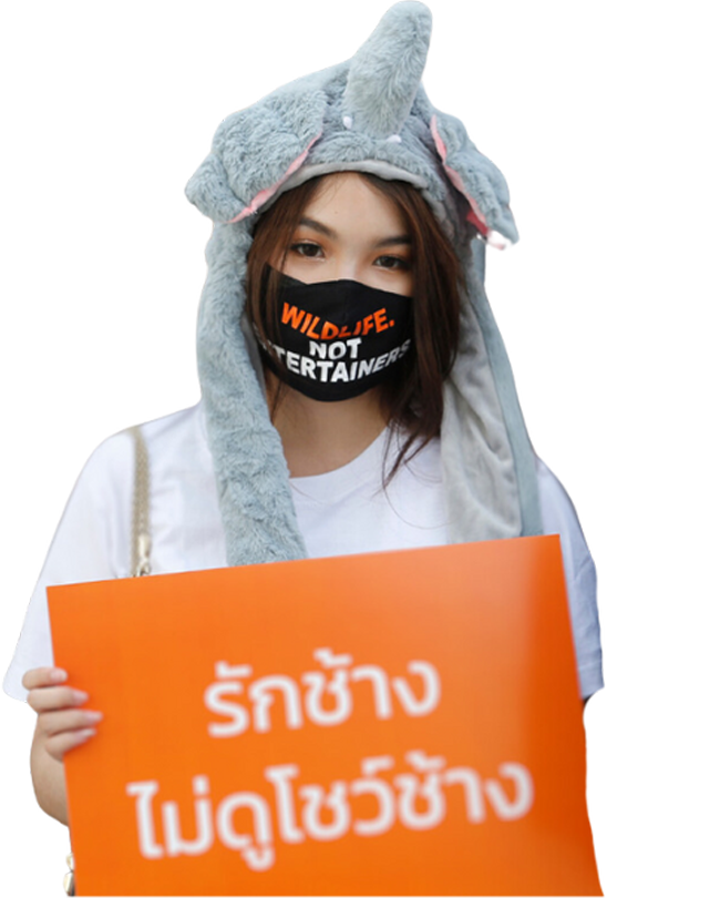 Thai women wears masking saying 'wildlife not entertainers'