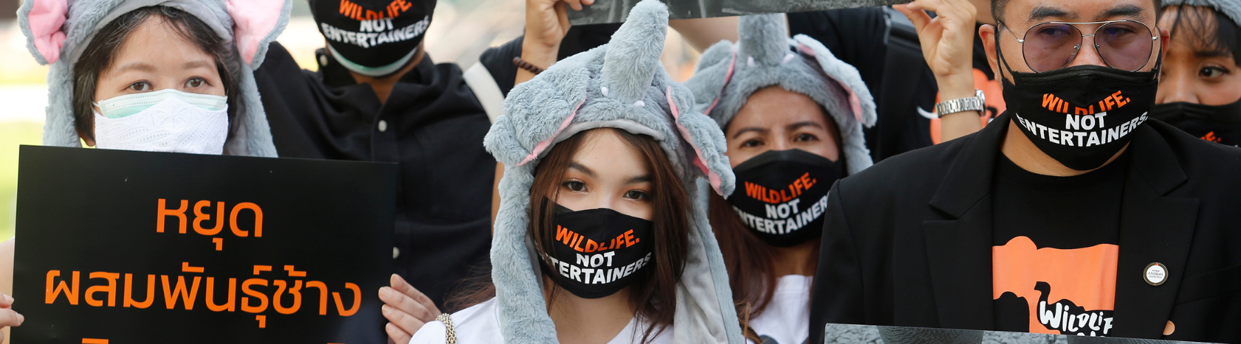 Wildlife Not Entertainment Protestors