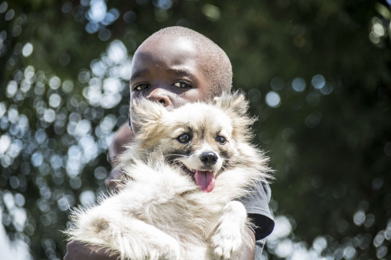 A young boy posing with his dog in Mombasa.