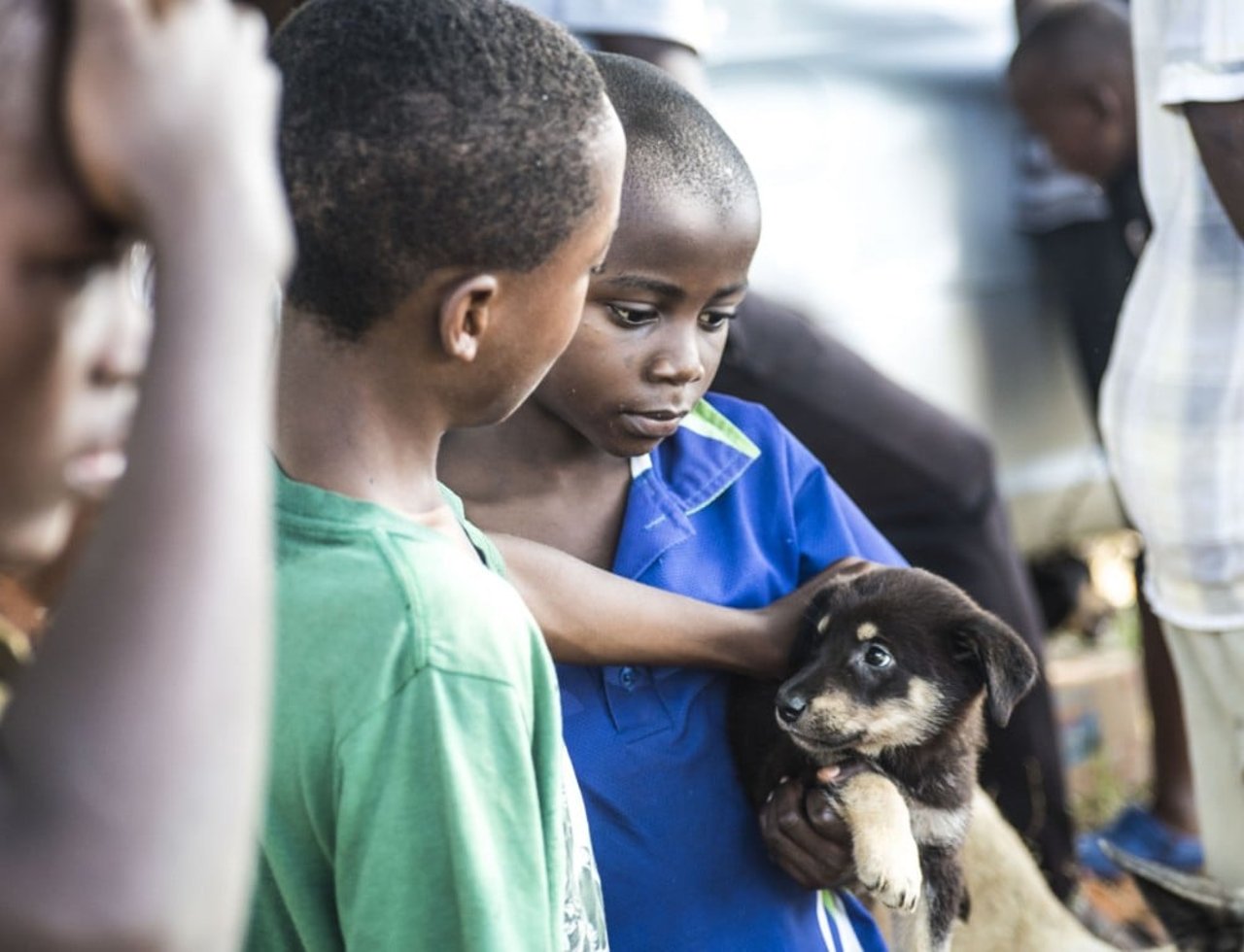 Young boys petting a dog in Mombasa.