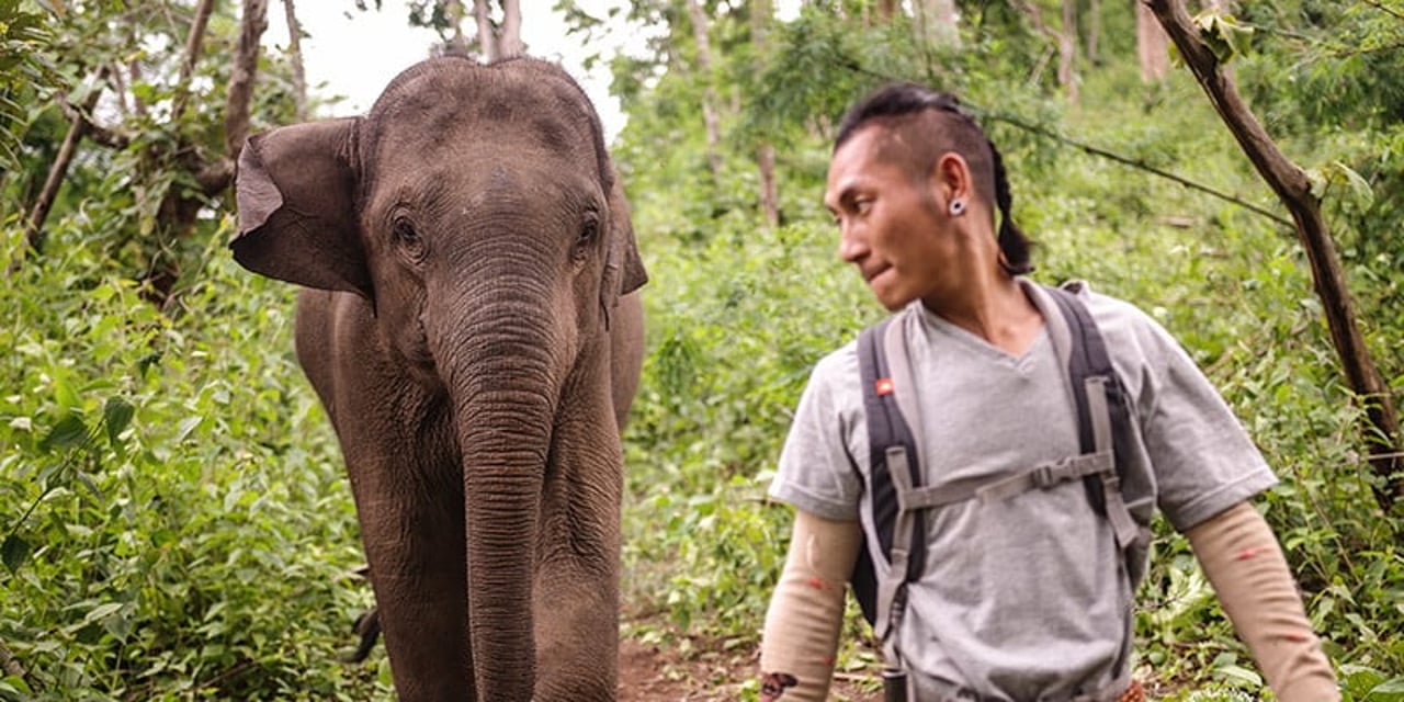 Elephant with his mahout at Kindred Spirit Elephant Sanctuary