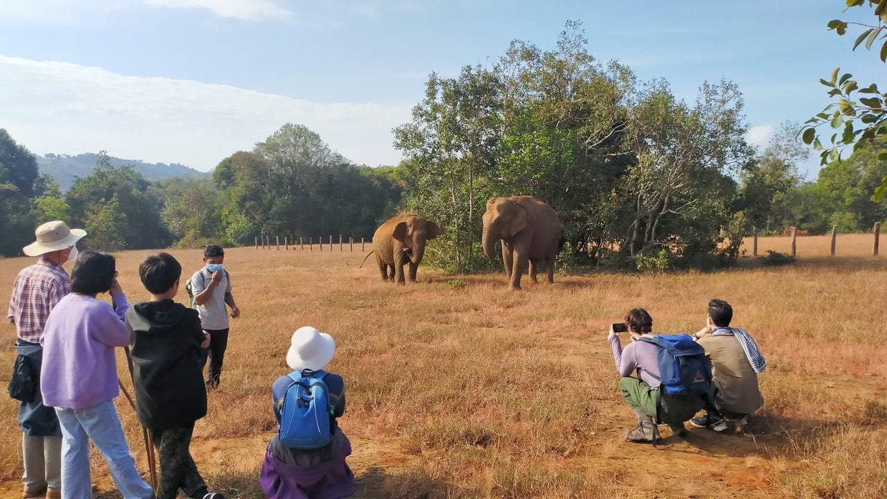Elephant Valley Project - Ethical tourism