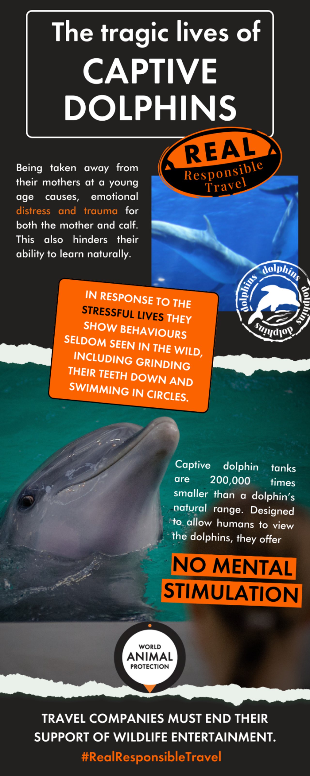 infographic on the suffering of captive dolphins