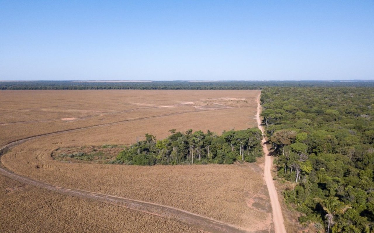 Aerial view of crops and deforested areas on the farms at Tangará da Serra, Mato Grosso, Brazil