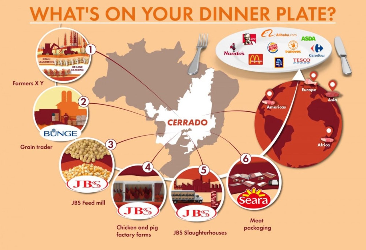 A diagram of the process JBS undertakes to provide food on your table. 