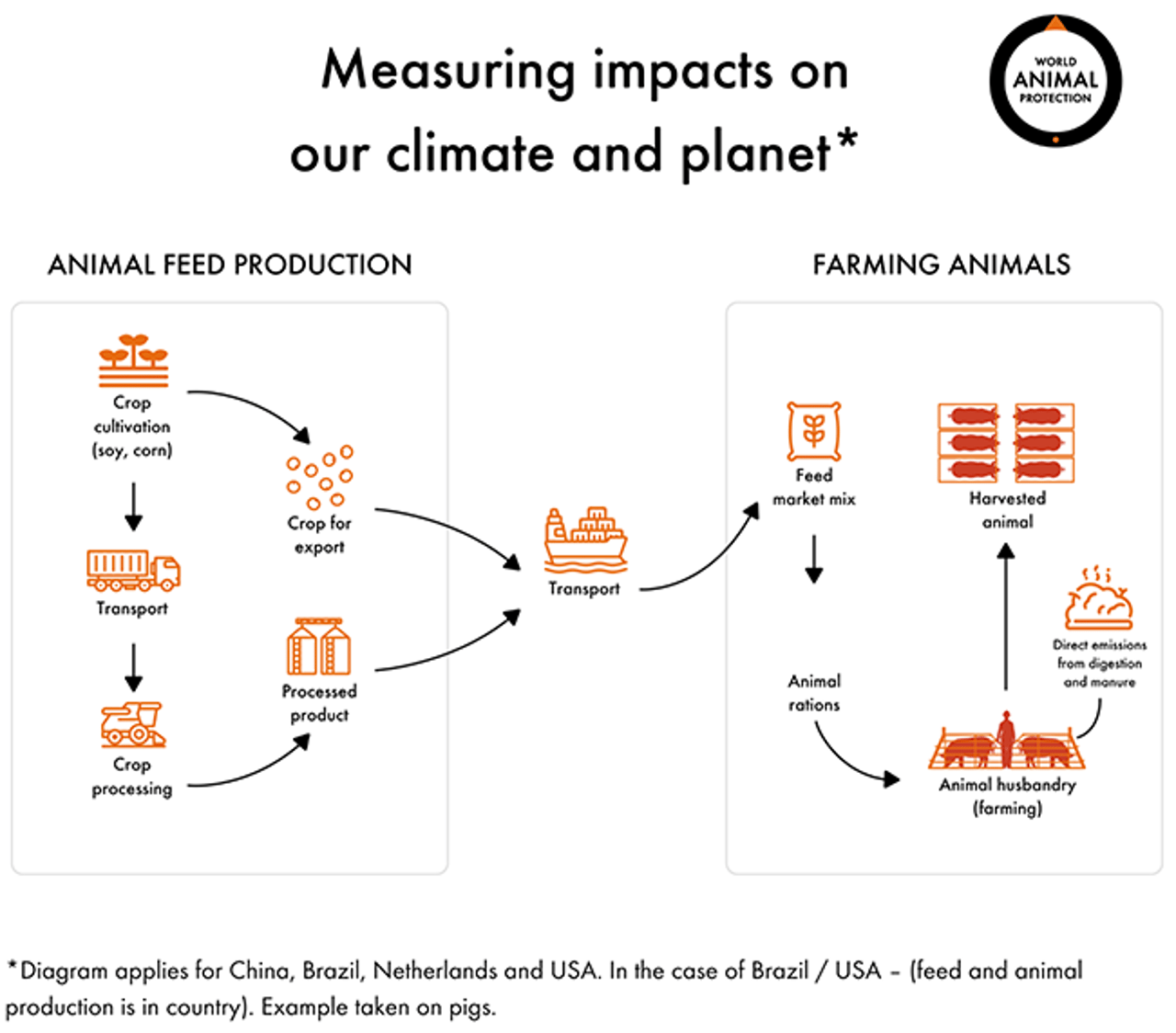 Impacts of animal feed production on climate and planet infographic