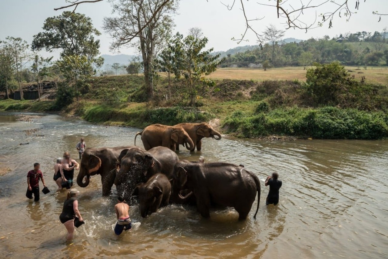 Tourists bathing elephants at venue in Thailand - World Animal Protection