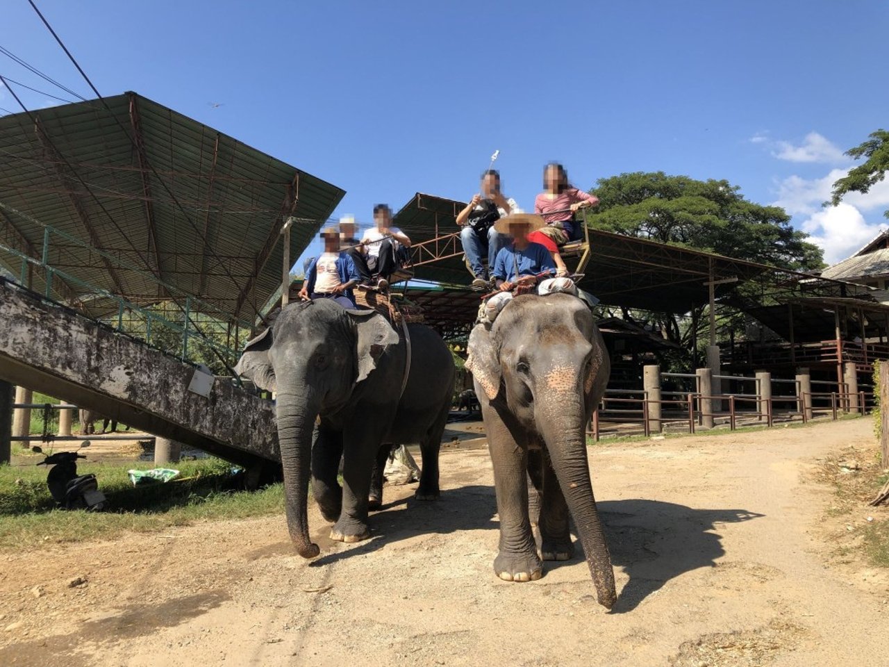 tourists_riding_elephants_at_attraction_in_chiang_mai_thailand