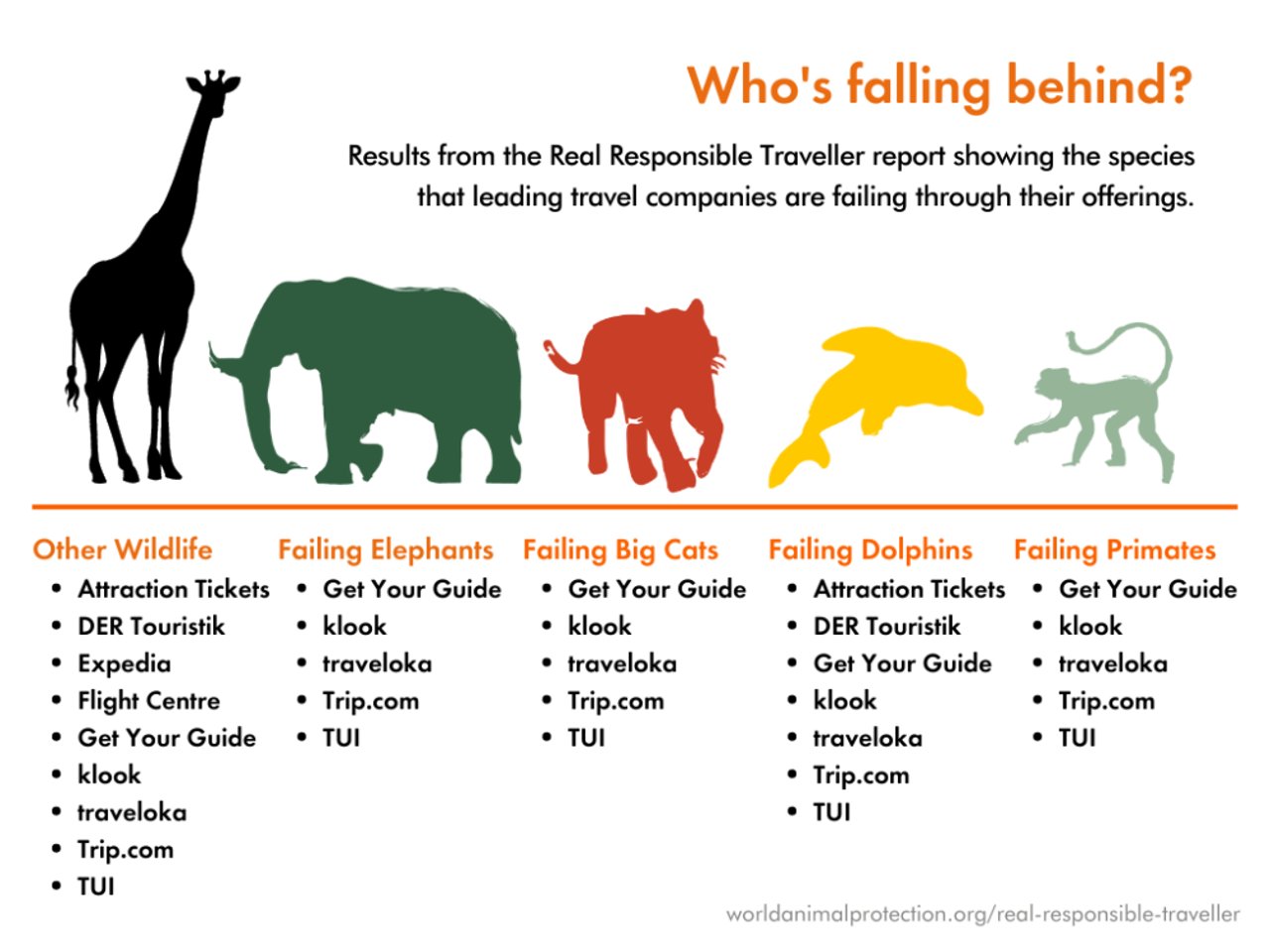 Infographic on how travel companies are failing wildlife