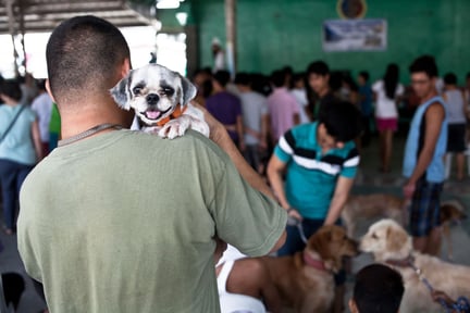 Man with two dogs he brought to be vaccinated in Kenya - World Animal Protection