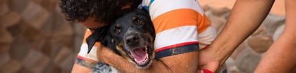 World Animal Protection have assisted thousands of animals after Hurricane Otto