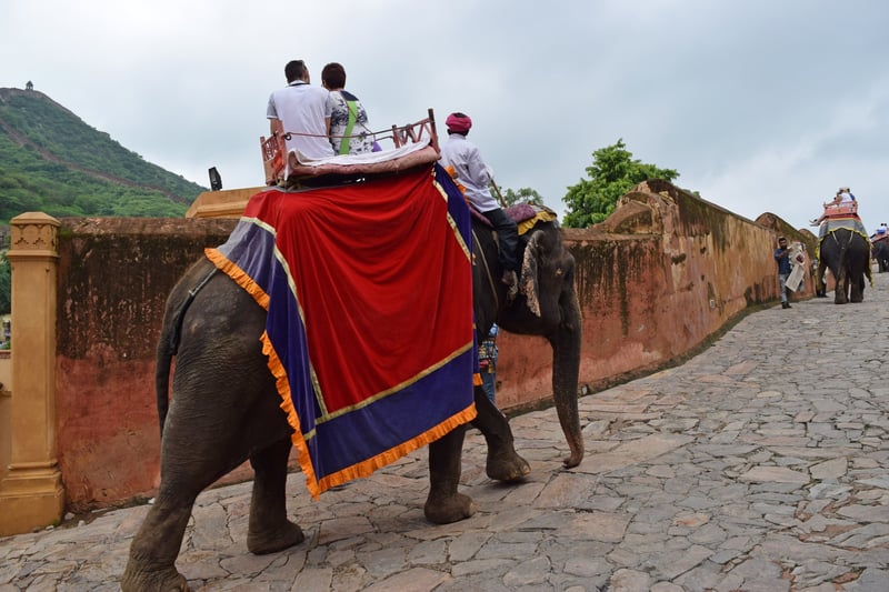 Tourists riding elephant at Amber Fort tourist attraction, India