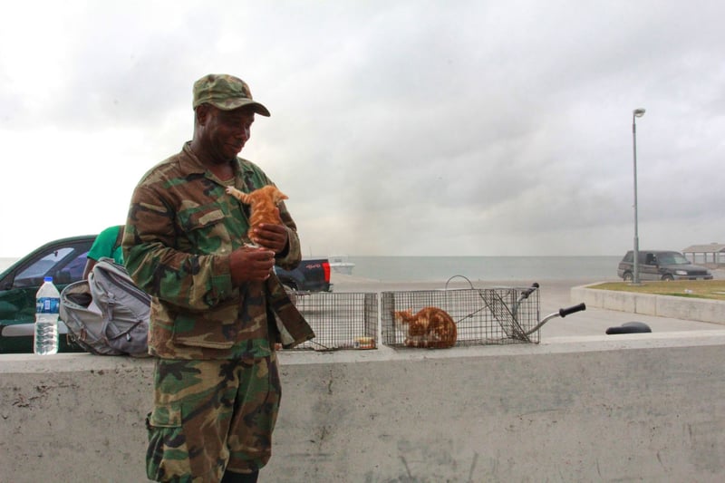 Corporal Williams with Irma the kitten in Barbuda - World Animal Protection - Disaster management
