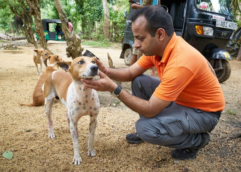 Sri Lanka helping animals