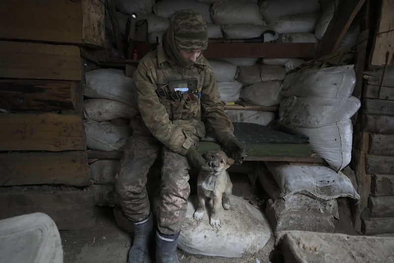 Ukrainian serviceman pats a dog sitting in a shelter on the front line in the Luhansk region, eastern Ukraine.