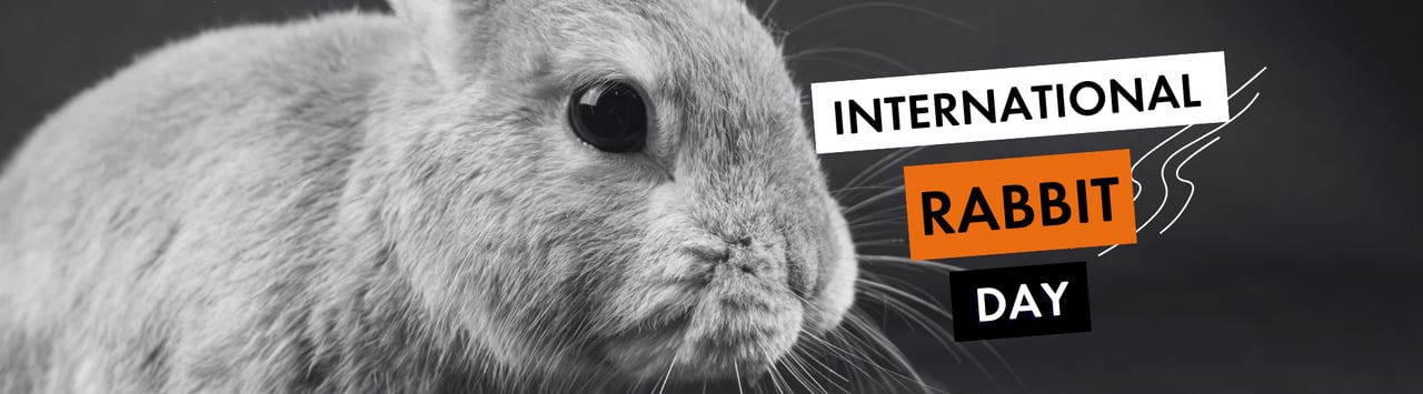Black and white Image of a rabbit with international rabbit day text