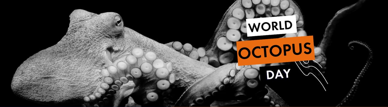 Octopus underwater with text world octopus day