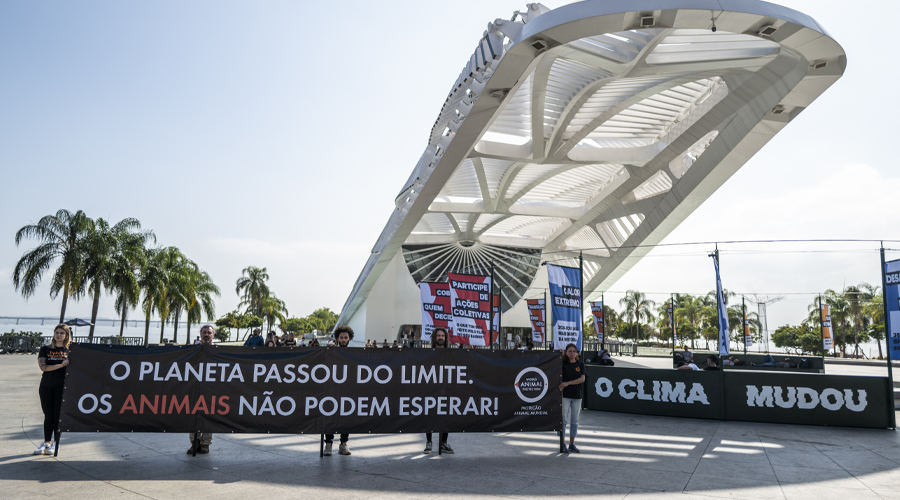 Peaceful protest during Rio Climate Action Week