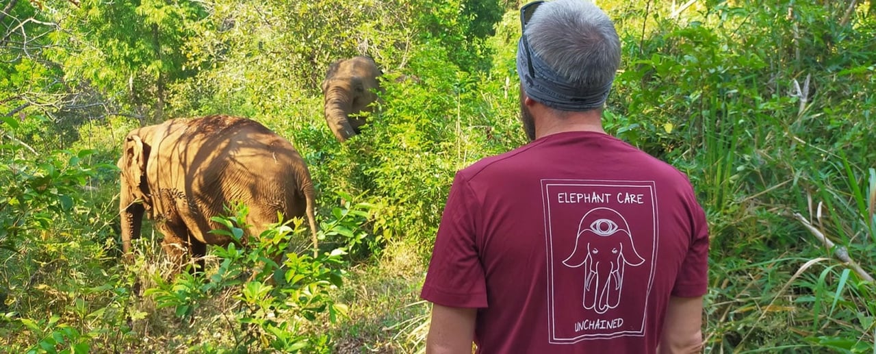 Watching elephants from a distance