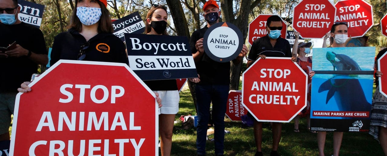 Peaceful protect at Sea World Australia