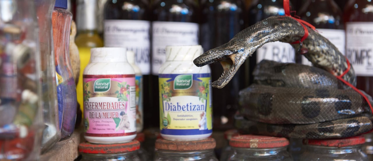 Juvenile anaconda on sale at Belén market for belief-based use