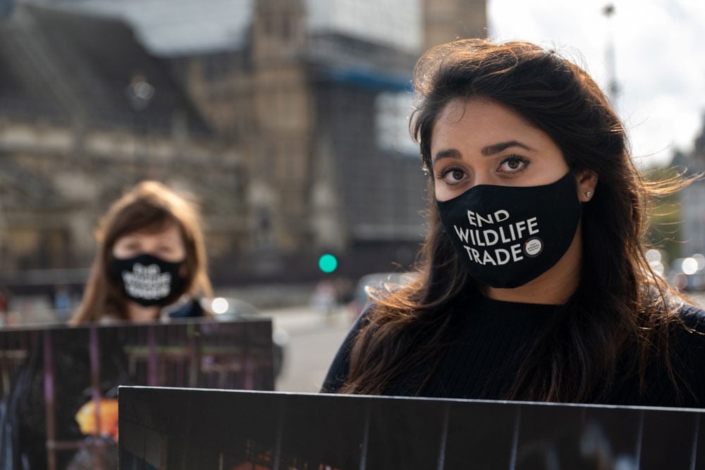 Mid-pandemic, peaceful protest, Downing Street, London