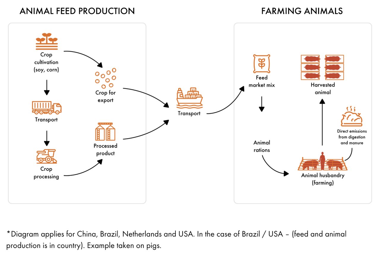 animal feed production infographic