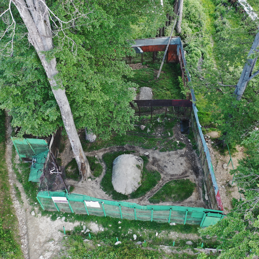 A small cage showing worn tracks where the bear has paced