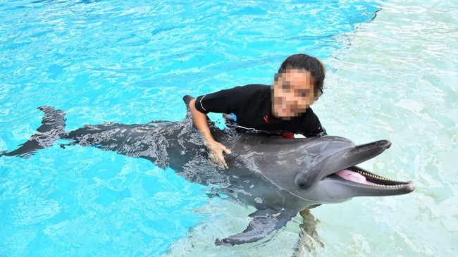 Dolphin used for photo opps (Resort World Sentosa, Singapore)