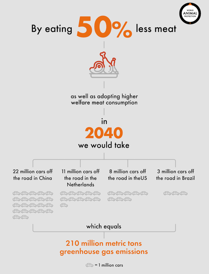 impact of eating less meat infographic