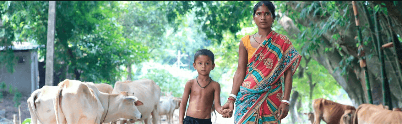 Villagers bring cattle to World Animal Protection vets