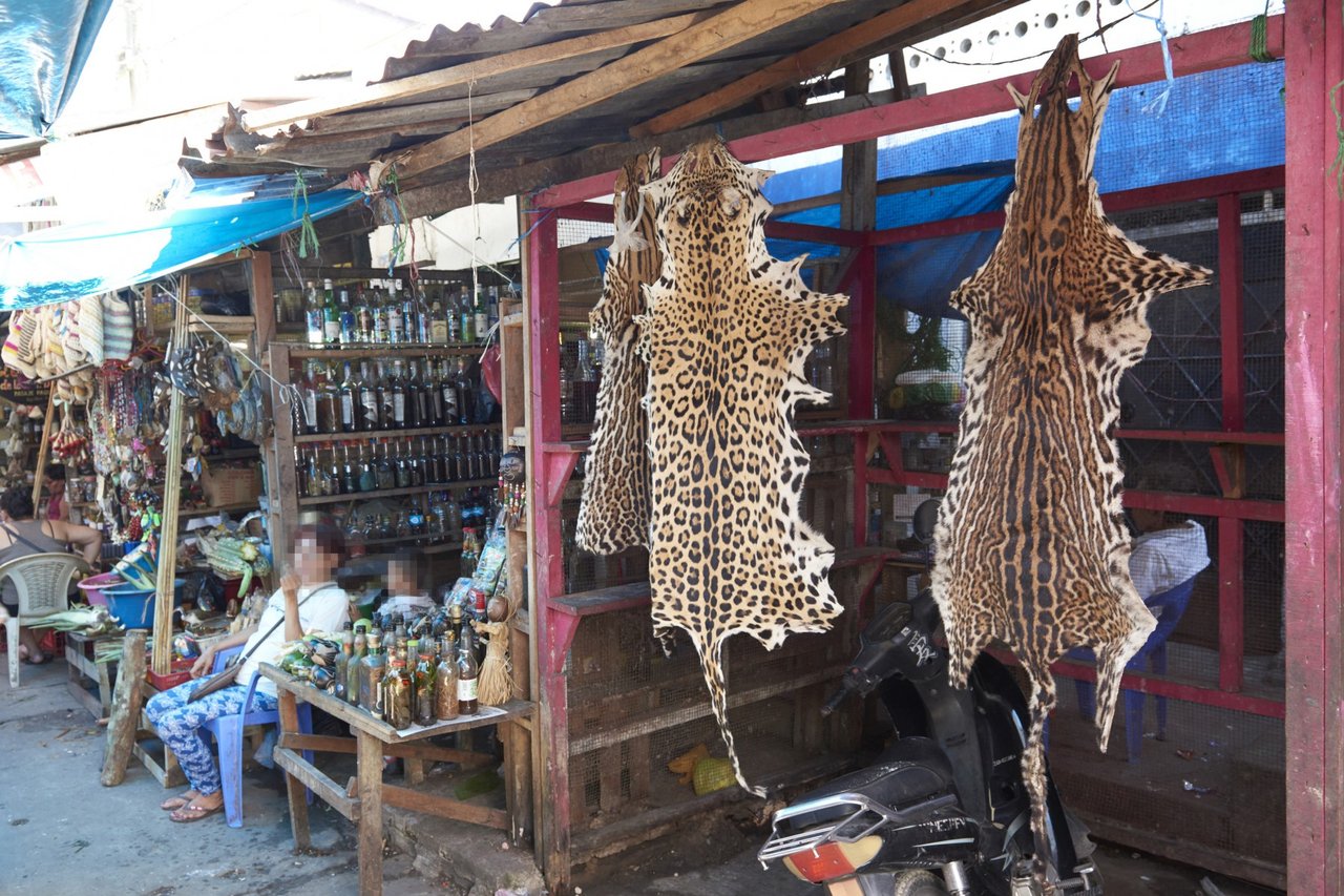 An inhumane animal product market in Peru
