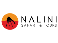Nalini travel logo