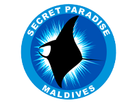 Secret Paradise logo