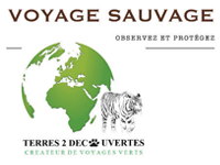 Voyage Sauvage travel logo
