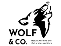 Wolf and Co travel logo