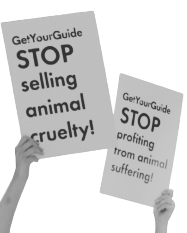 Arms hold banners saying GetYourGuide stop selling animal cruelty