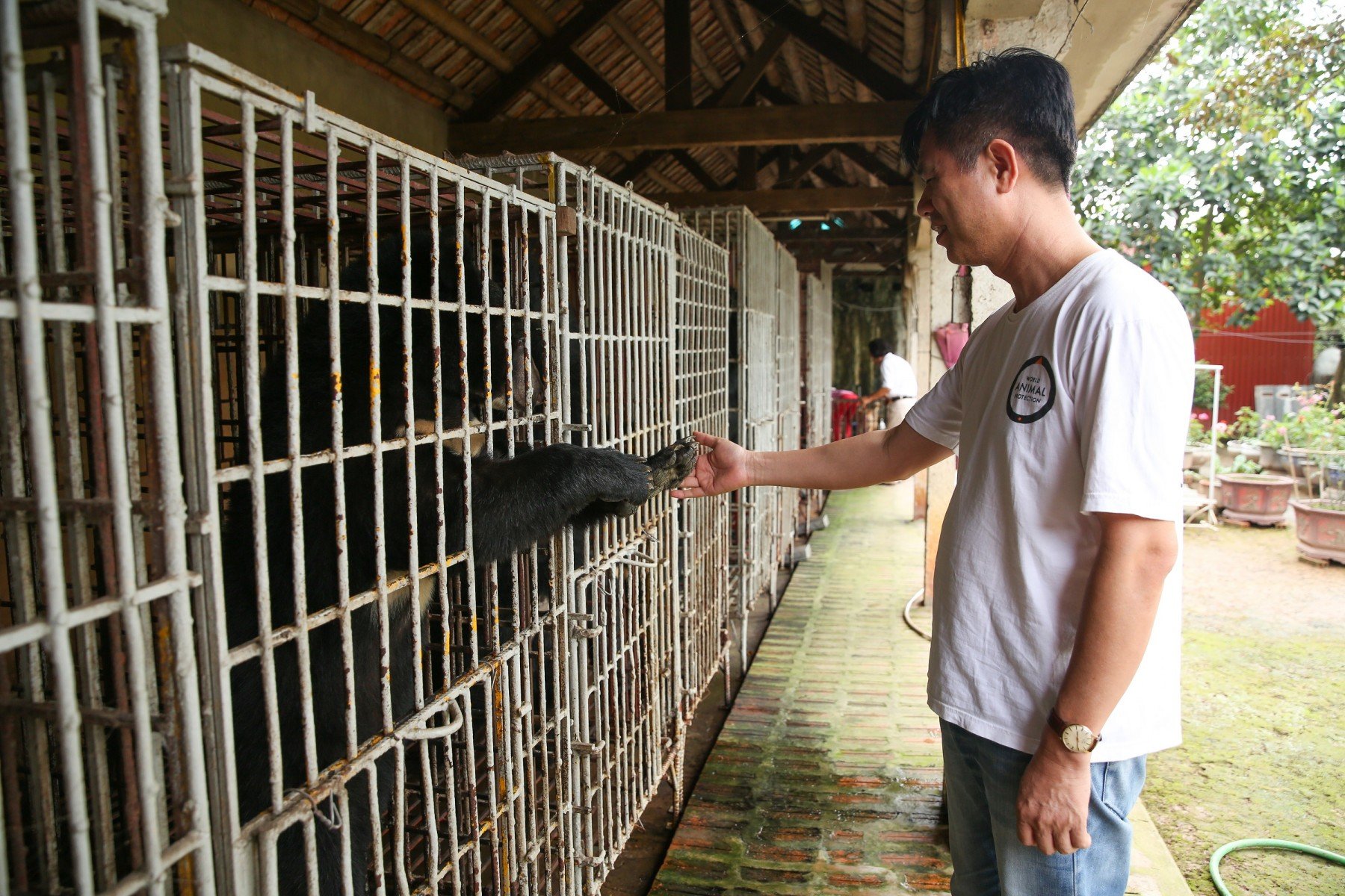 World Animal Protection staff with Cam the bear during the rescue