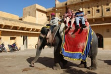 elephant_carrying_tourists_in_india