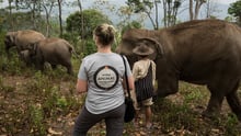 Staff with elephants in Thailand