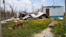 Antigua and barbuda