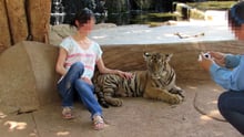 Lady with tiger at tiger temple