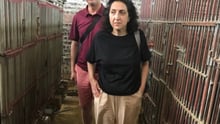 maya stands around the small cages of bile bears in Vietnam