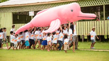 Children in a Brazilian Amazon community carrying an inflatable pink river boto dolphin - World Animal Protection