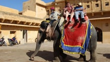 elephant_carrying_tourists_in_india