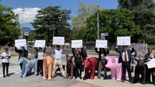 Inflatable animals in Geneva - World Animal Protection - Animals in disasters