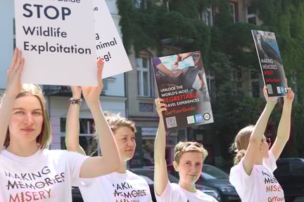 A team of 12 from our organisation, Peta Germany, and WTG congregated outside the gates of the headquarters where they interacted with GetYourGuide staff. Credit: Elena Amoroso / World Animal Protection