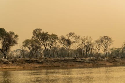 Fire returns in the Pantanal area where it had already been controlled