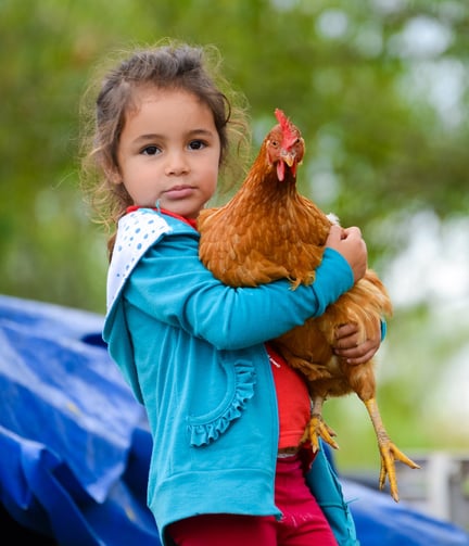 Girl holding chicken in Argentina